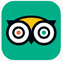 Trip Advisor Icon